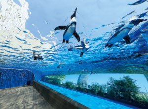 サンシャイン水族館