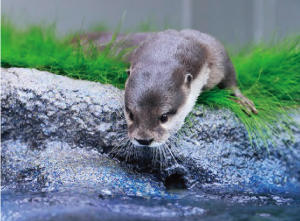 サンシャイン水族館
