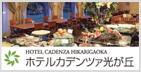 ホテルカデンツァ東京