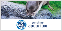 サンシャイン水族館